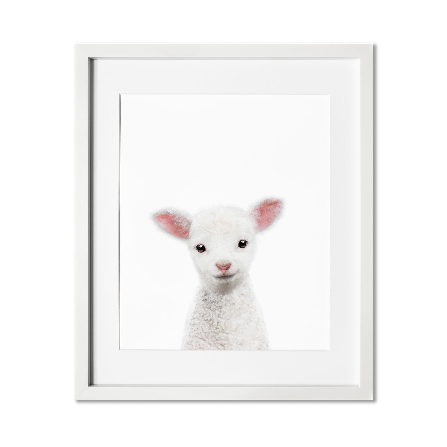 Baby Lamb Wall Art Print