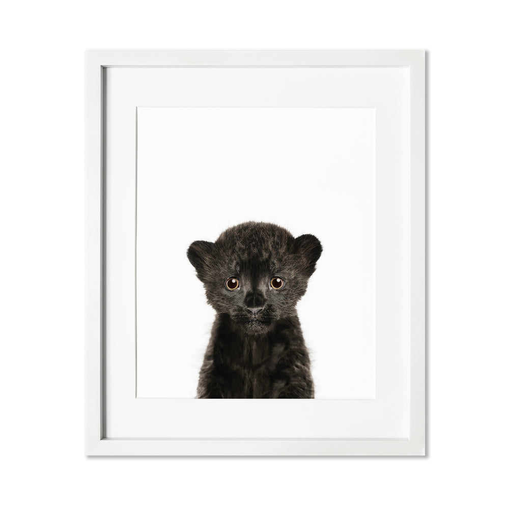 Baby Leopard Wall Art Print