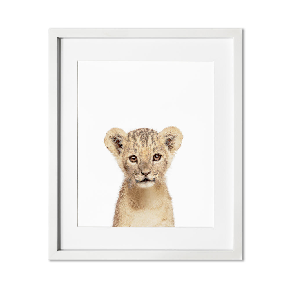 Baby Lion Print