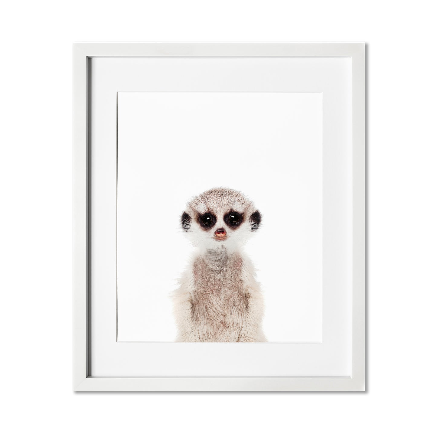 Baby Meerkat Wall Art Print