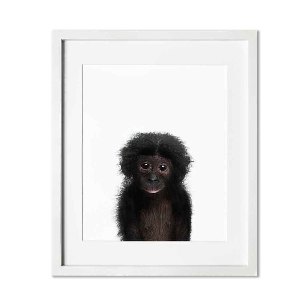 Baby Monkey Wall Art Print