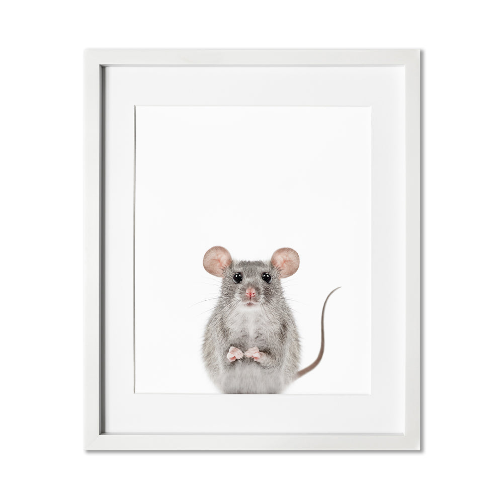 
                      
                        Baby Mouse Wall Art Print
                      
                    