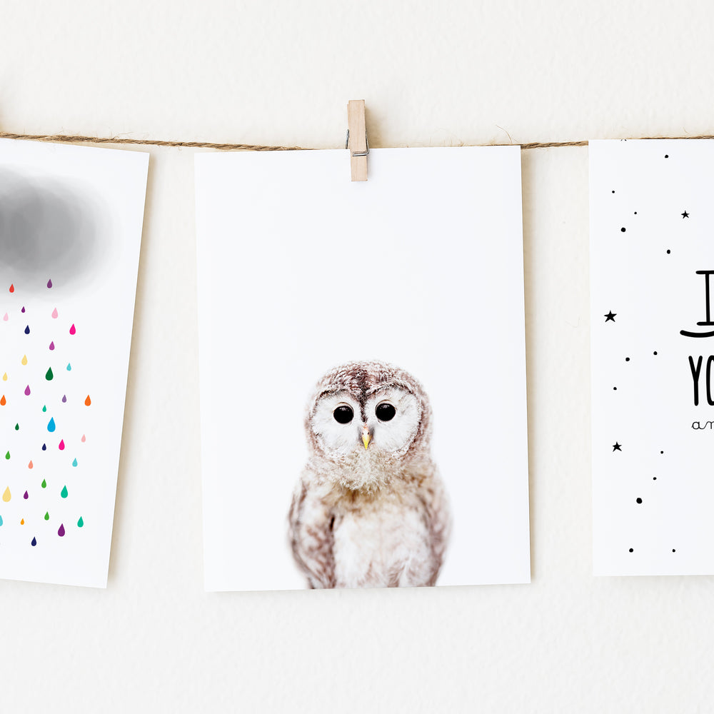 
                      
                        Baby Owl Nursery Wall Art Print
                      
                    