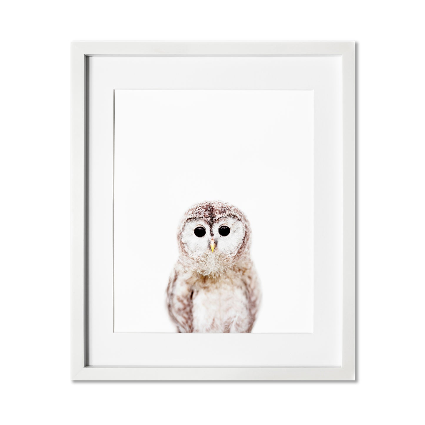 framed Baby Owl Nursery Wall Art Print