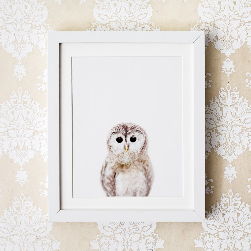 
                      
                        framed Baby Owl Nursery Wall Art Print
                      
                    