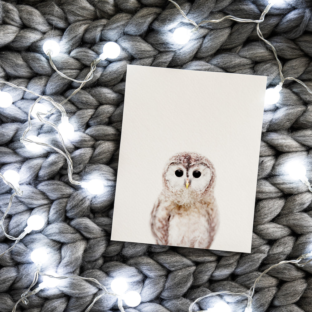 
                      
                        Baby Owl Print
                      
                    