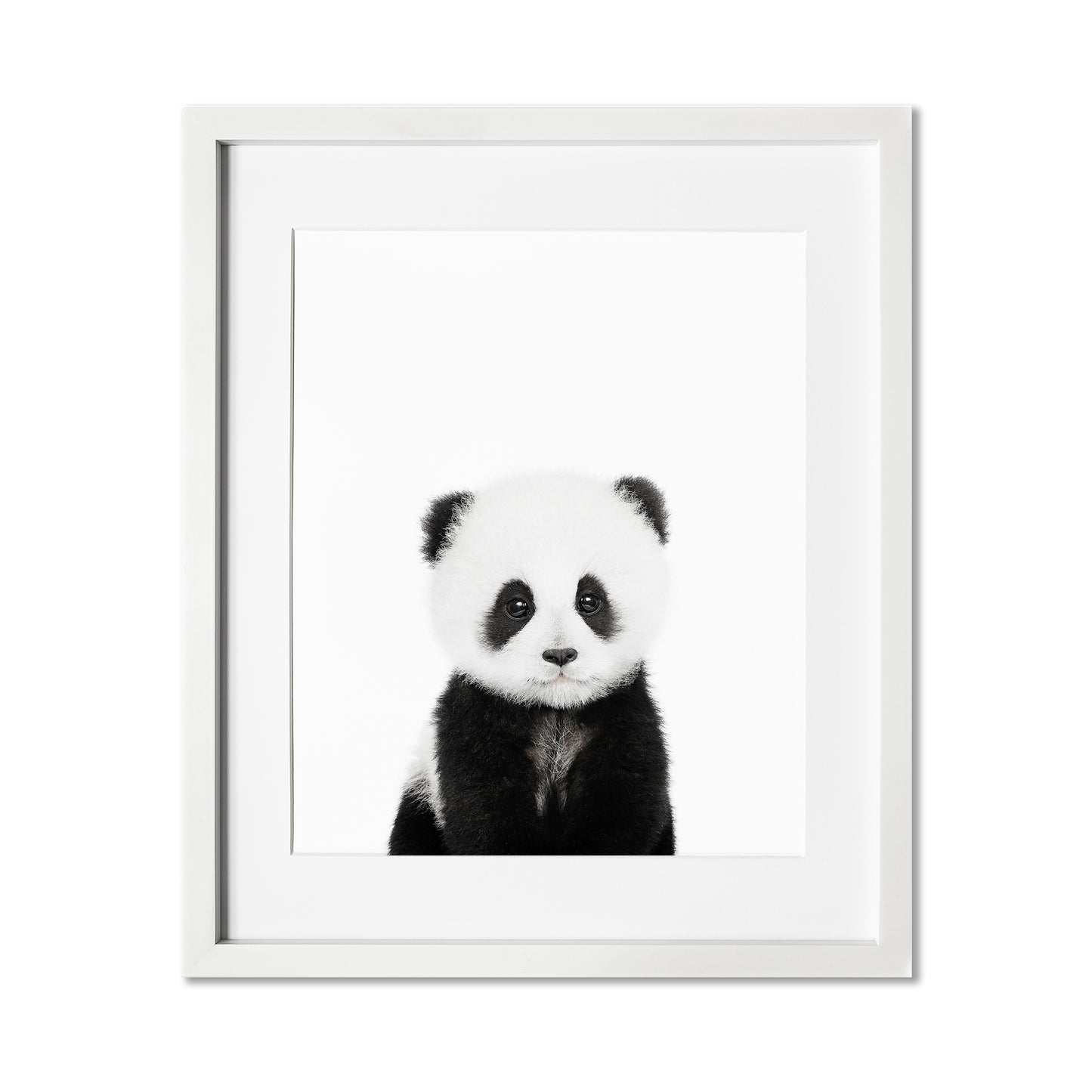 Baby Panda Wall Art Print