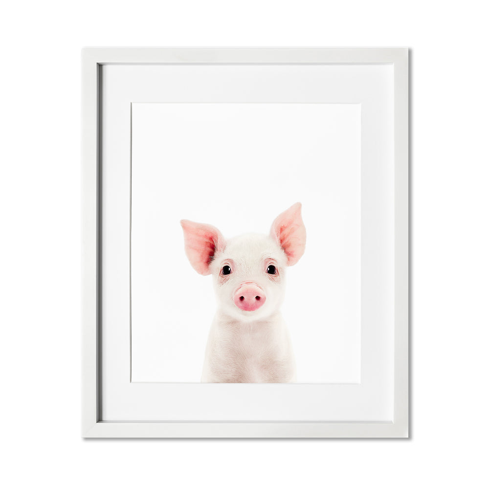 
                      
                        Baby Pig Wall Art Print
                      
                    