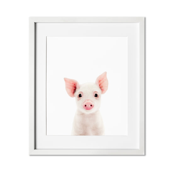 Baby Pig Wall Art Print