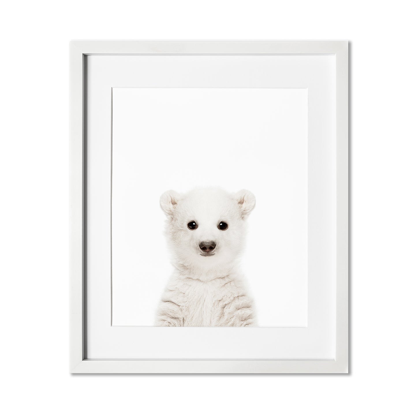 Baby Polar Bear Wall Art Print