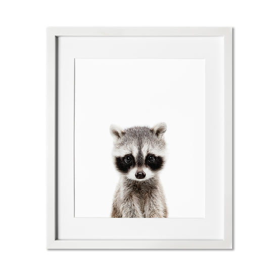 Baby Raccoon Nursery Wall Art Print in a white frame