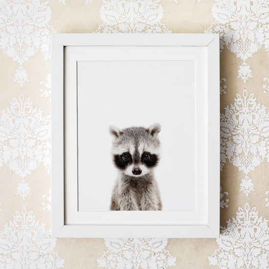 framed Baby Raccoon Nursery Wall Art Print