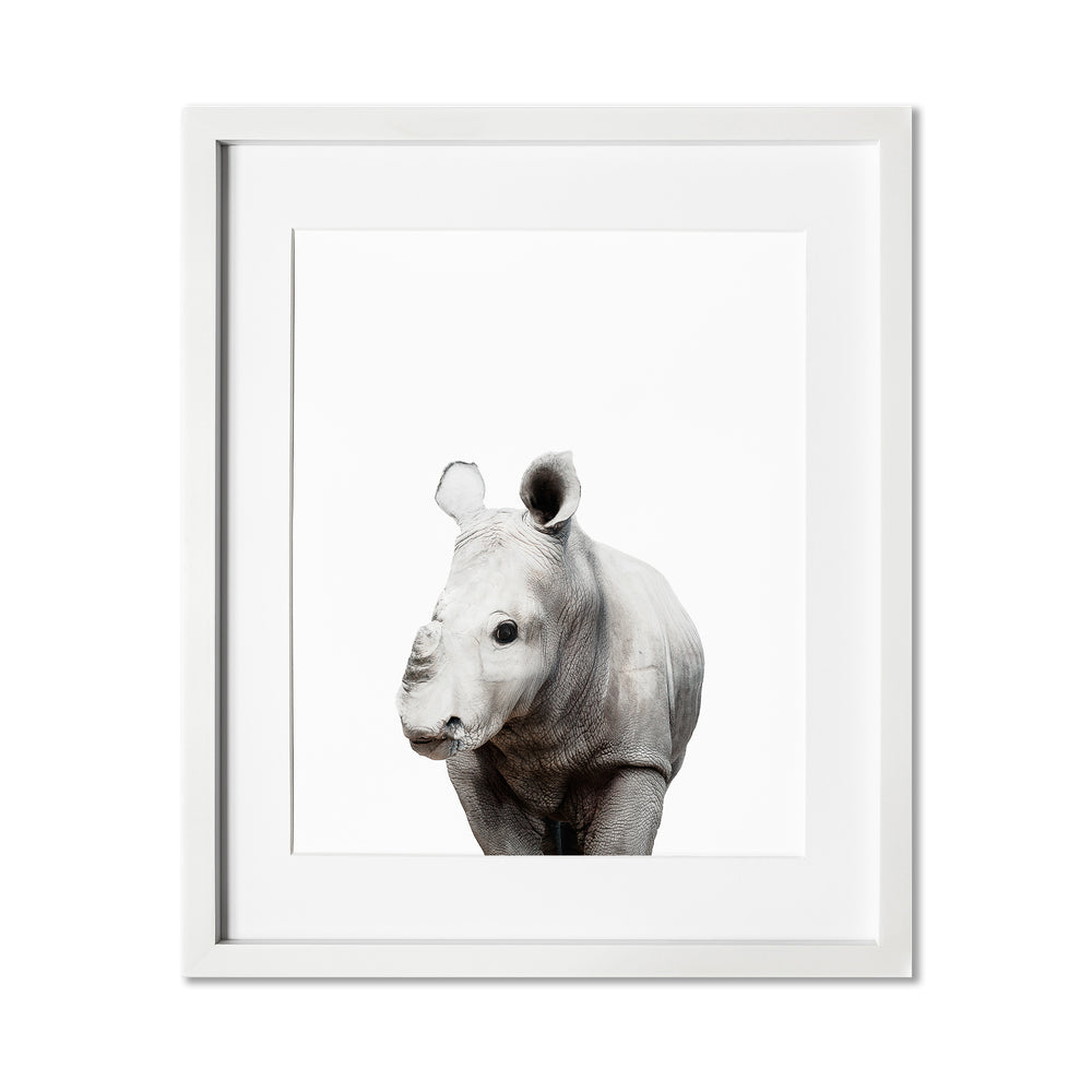 
                      
                        Baby Rhino Wall Art Print
                      
                    