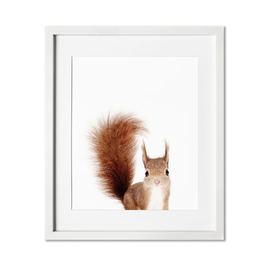 Baby Red Squirrel Nursery Wall Art Print in a white frame 