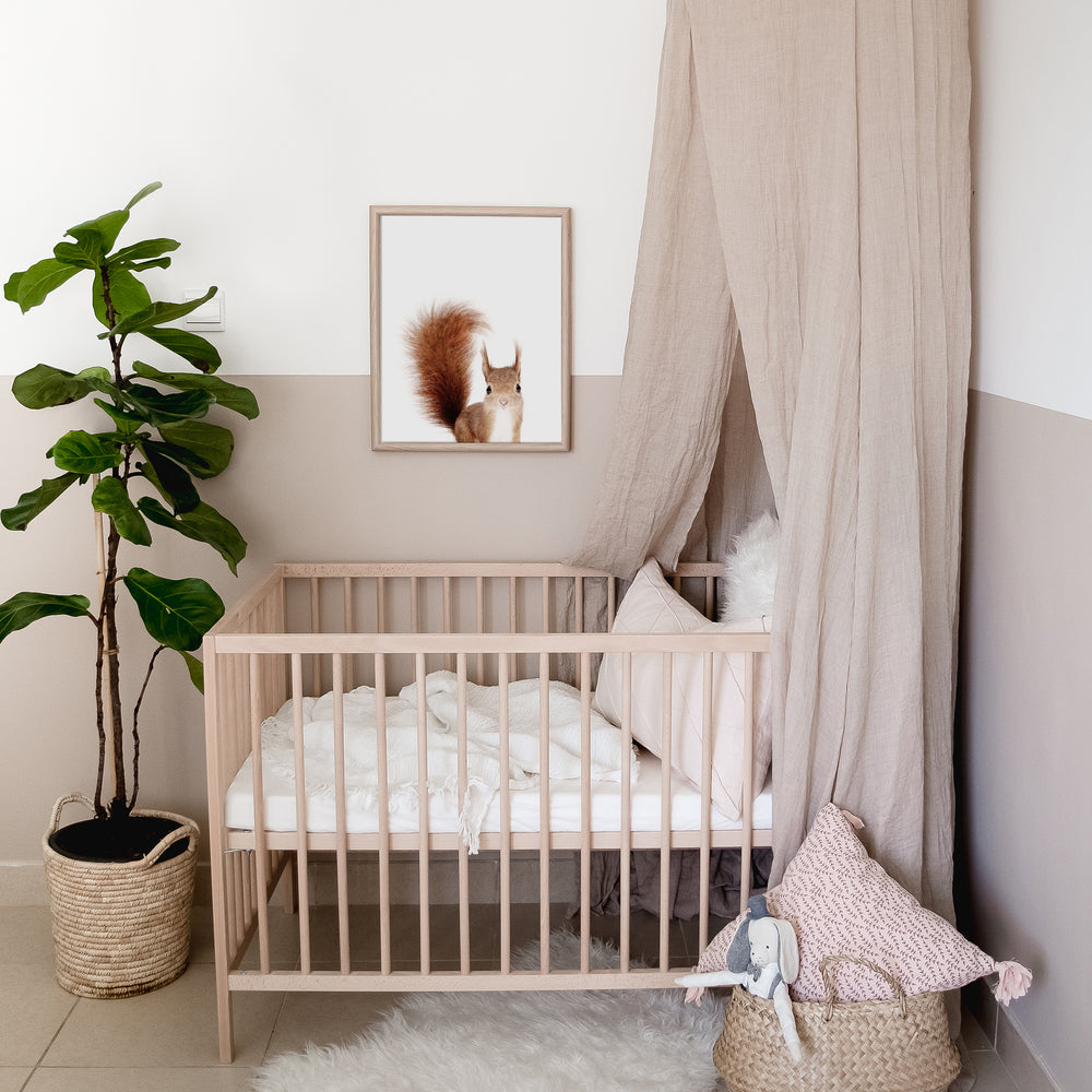 Baby Red Squirrel print framed above the crib in a woodland themed nursery 