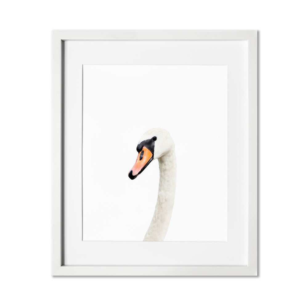 
                      
                        Swan Wall Art
                      
                    