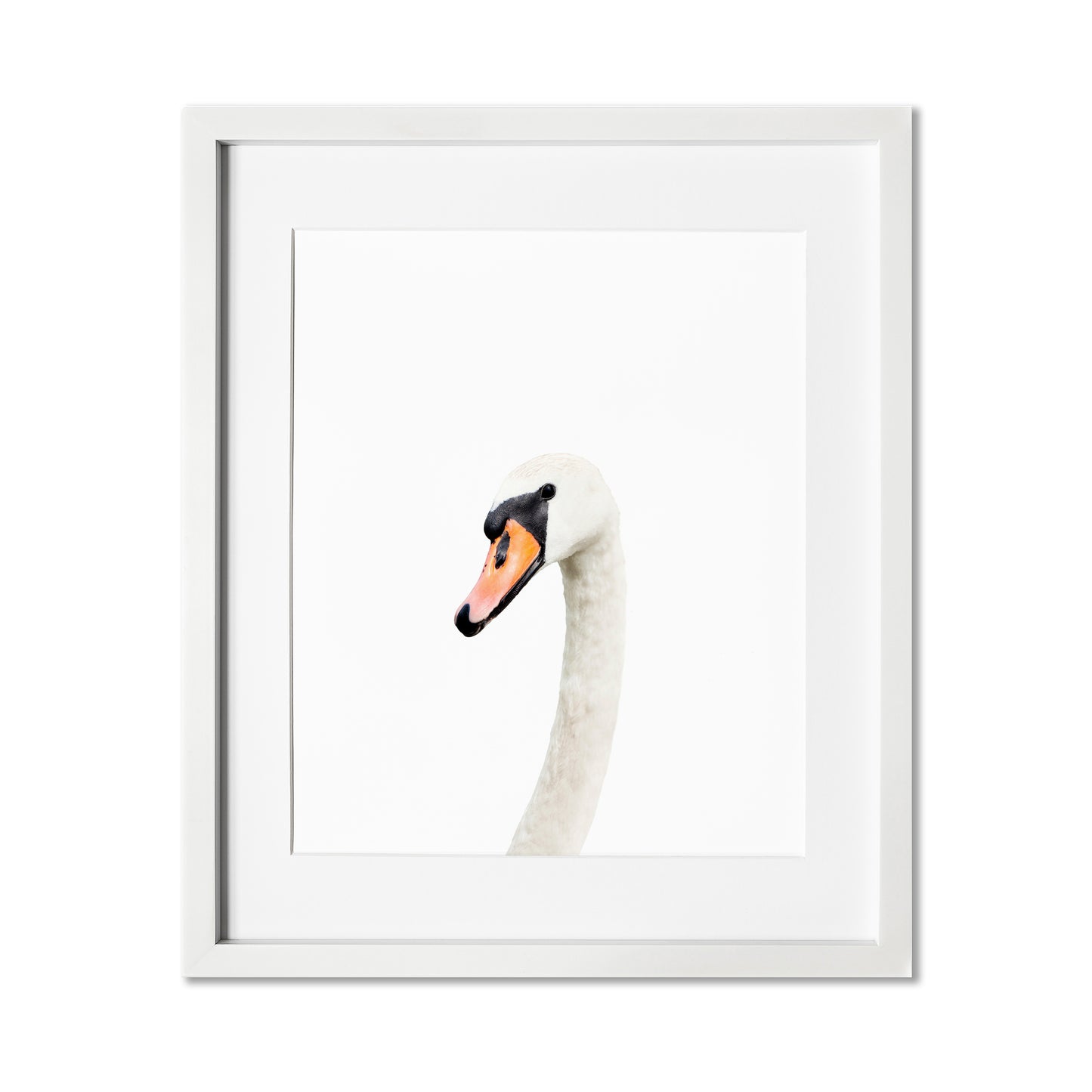 Swan Wall Art