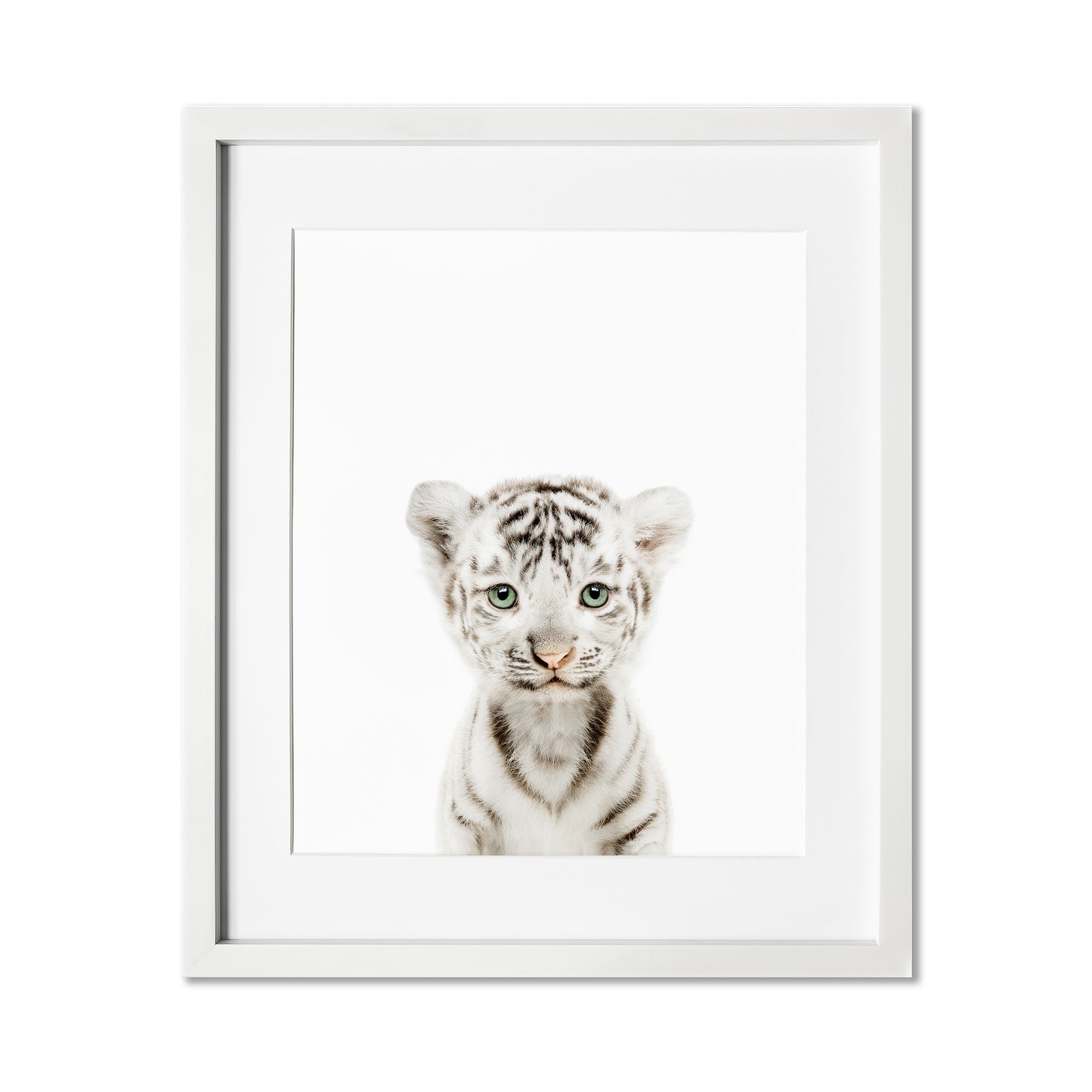 Baby White Tiger Wall Art Print