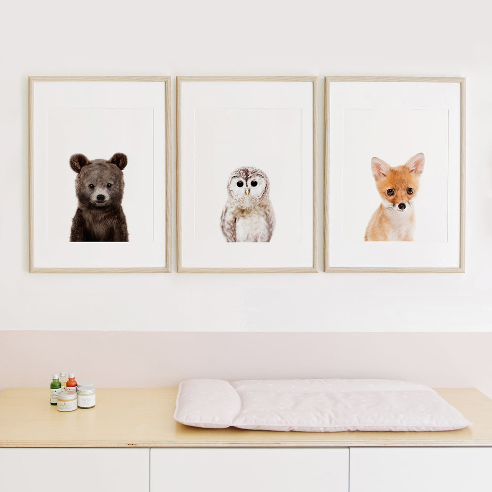 Woodland Animals Set of 3 Nursery Wall Art Prints