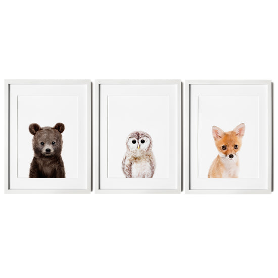 Woodland Animals Set of 3 Nursery Wall Art Prints