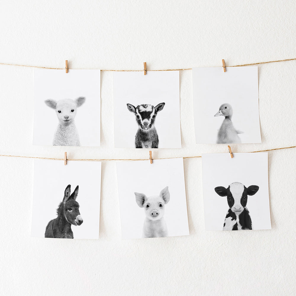 Black and White Farm Animal Prints Set of 6