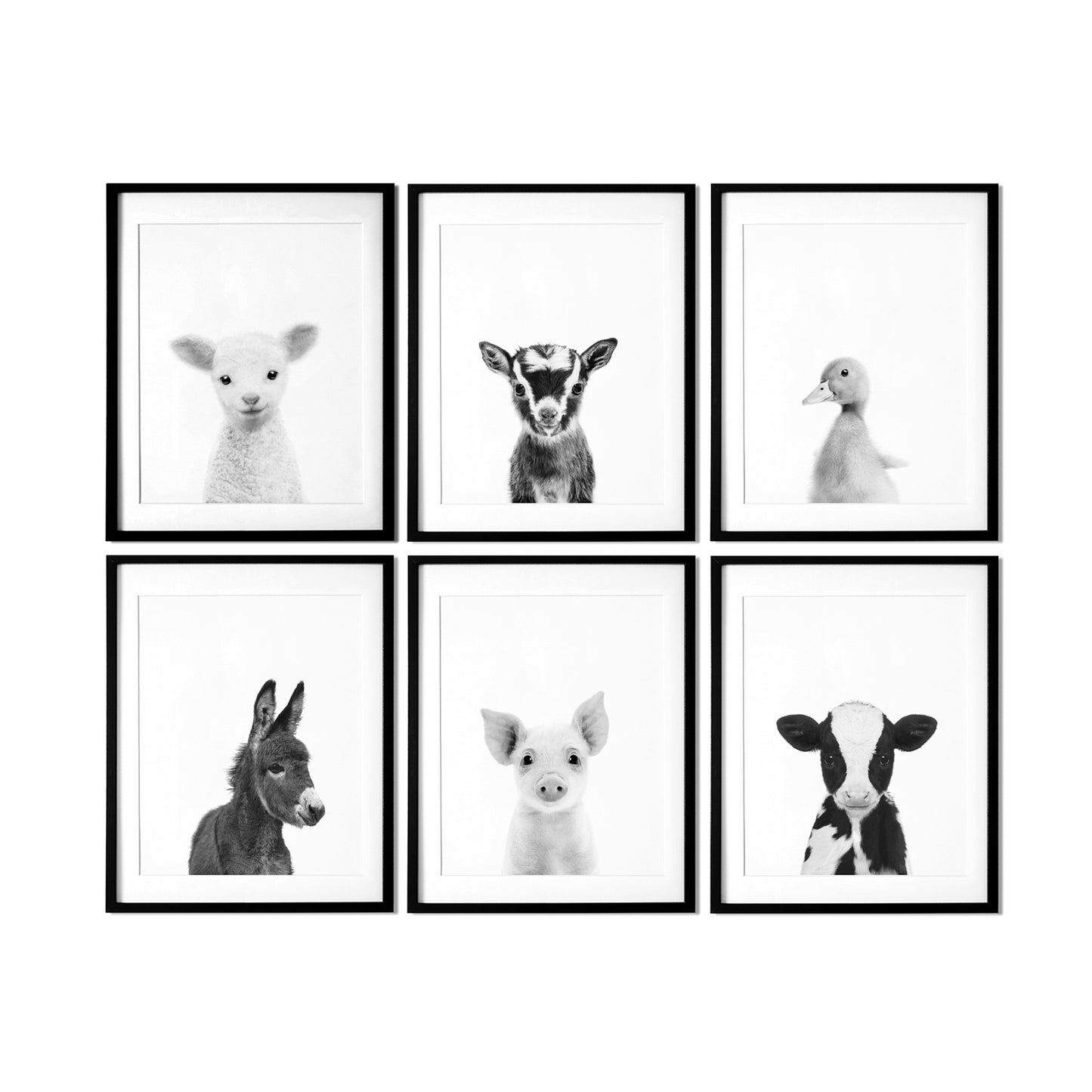 Black and White Farm Animal Prints Set of 6