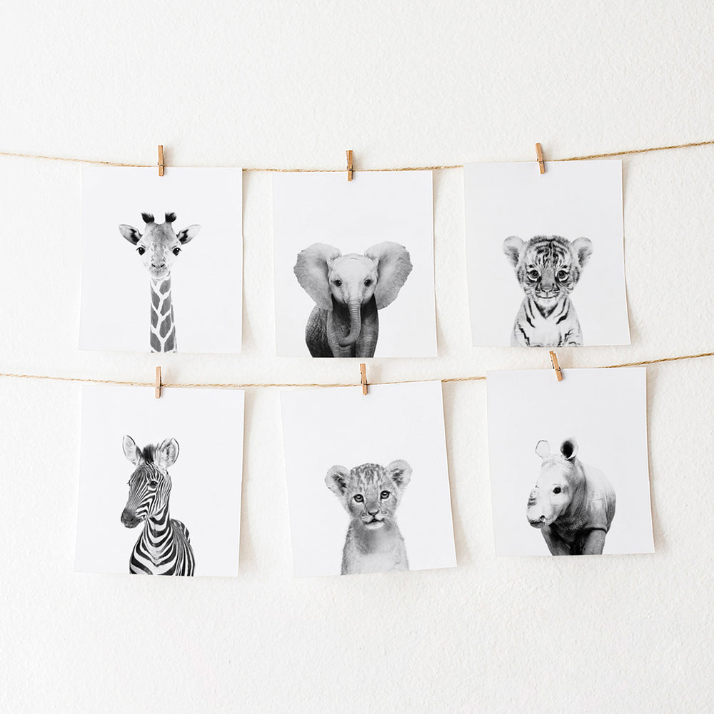 
                      
                        Black and White Safari Animal Prints Set of 6
                      
                    