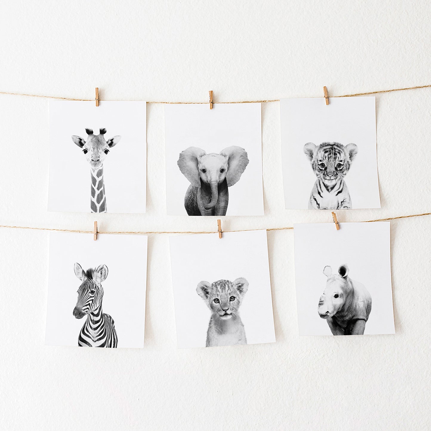 Black and White Safari Animal Prints Set of 6