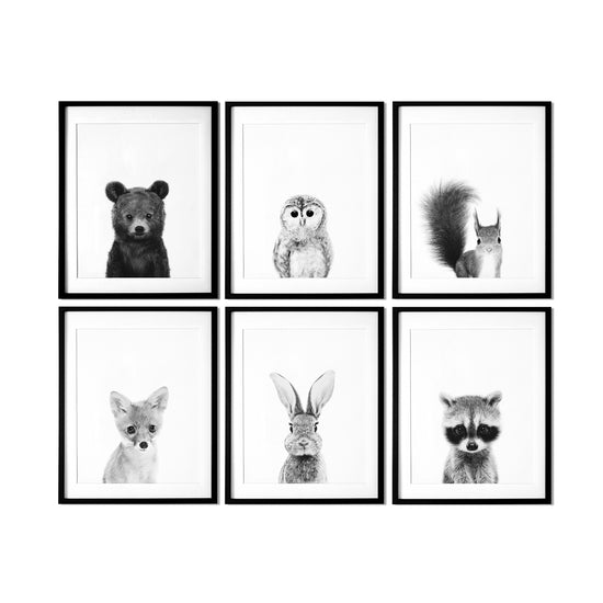 Black and White Woodland Animal Prints Set of 6