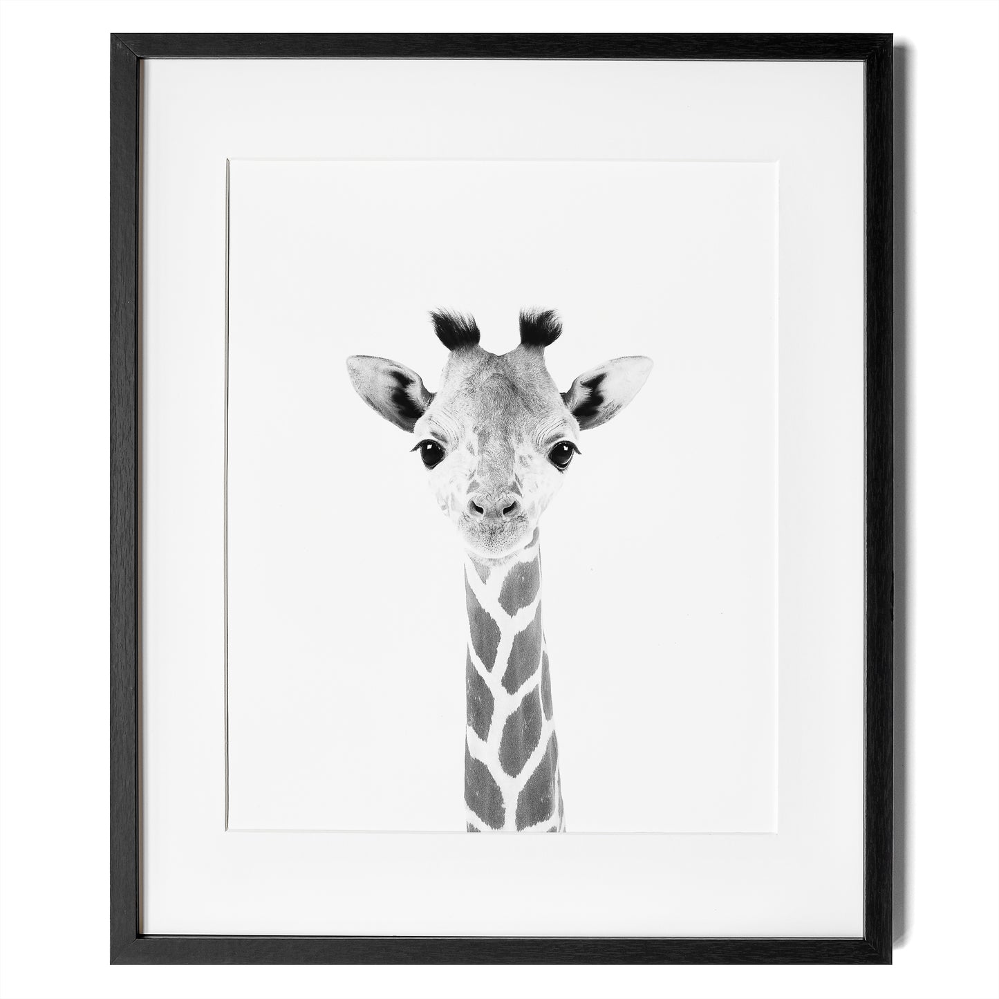 black and white baby giraffe print