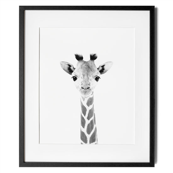 Load image into Gallery viewer, black and white baby giraffe print
