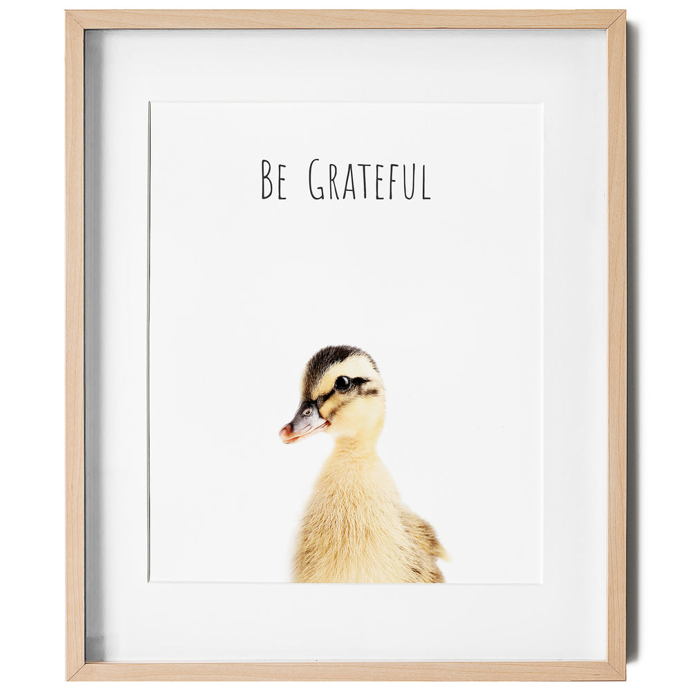 
                      
                        Duck Be Grateful Inspirational Nursery Wall Art
                      
                    