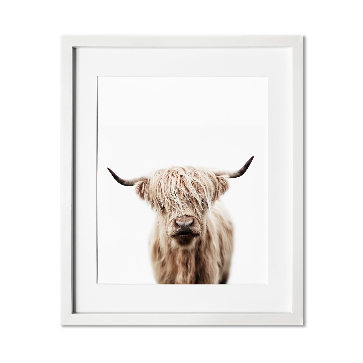 Baby Highland Cow Wall Art Print