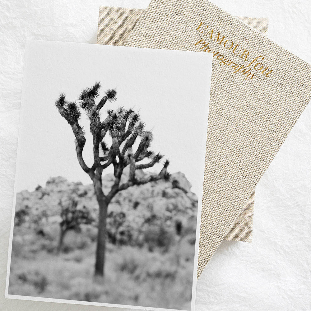 Joshua tree black and white art print