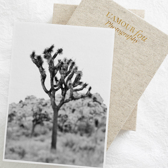 Load image into Gallery viewer, Joshua tree black and white art print

