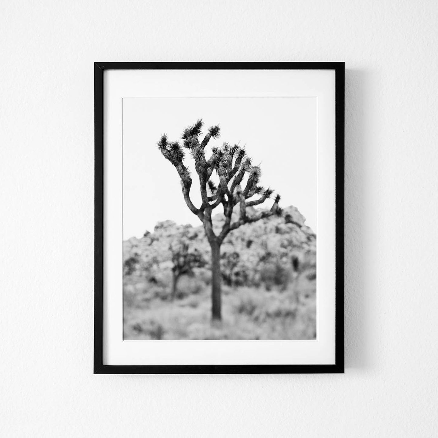 Joshua tree black and white art print