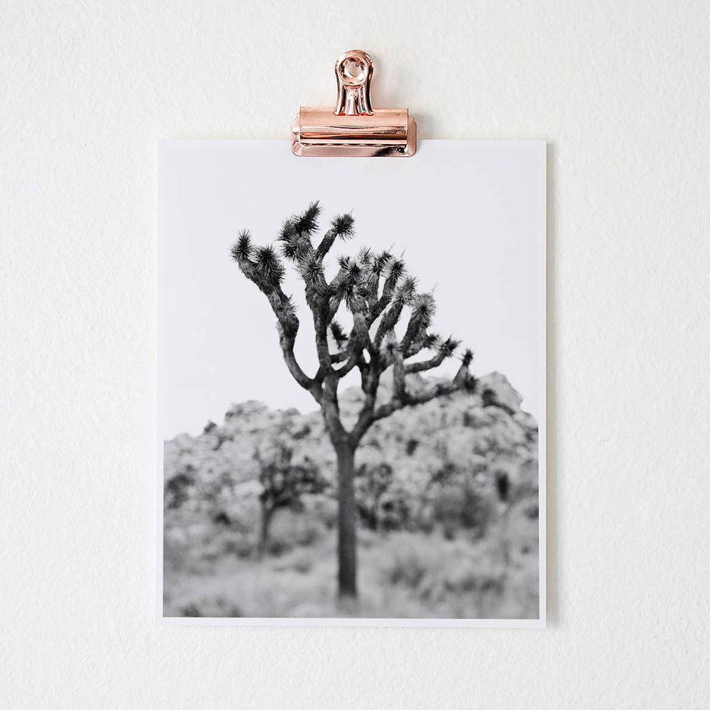 
                      
                        Joshua tree black and white art print
                      
                    