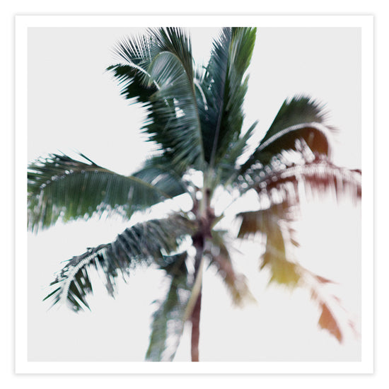 Load image into Gallery viewer, palm tree wall art
