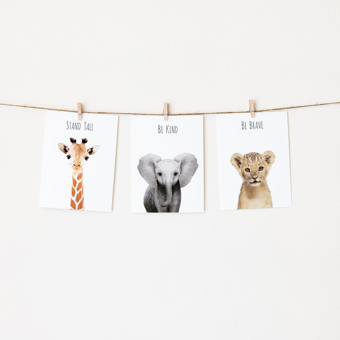 Safari Art Prints with Positive Affirmations - Set of 3