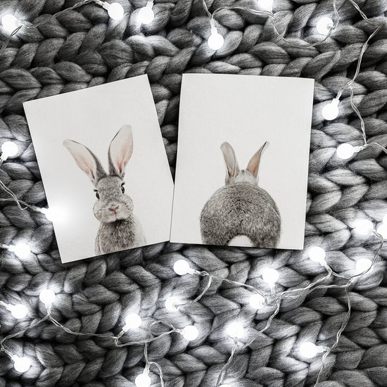 Bunny Portrait and Bunny Tail Wall Art Print - Set of 2