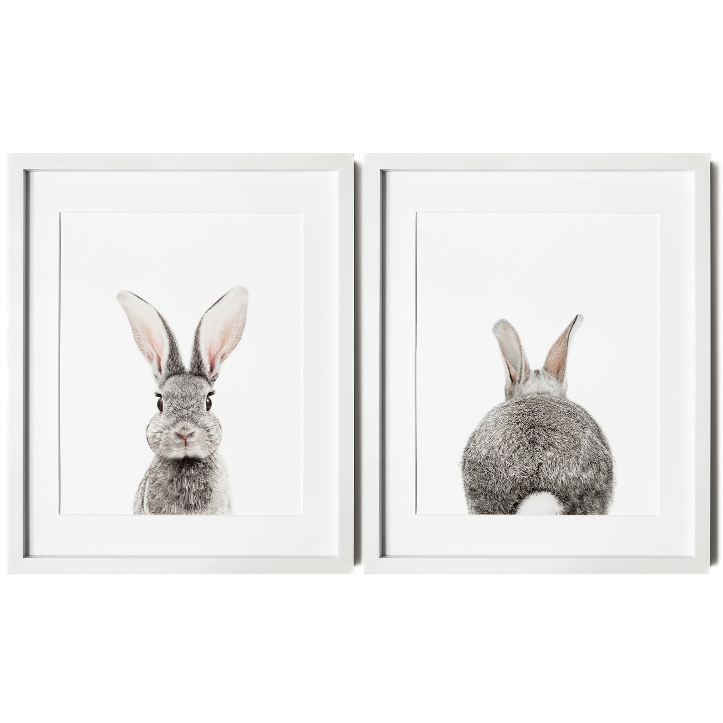 Bunny Portrait and Bunny Tail Wall Art Print - Set of 2