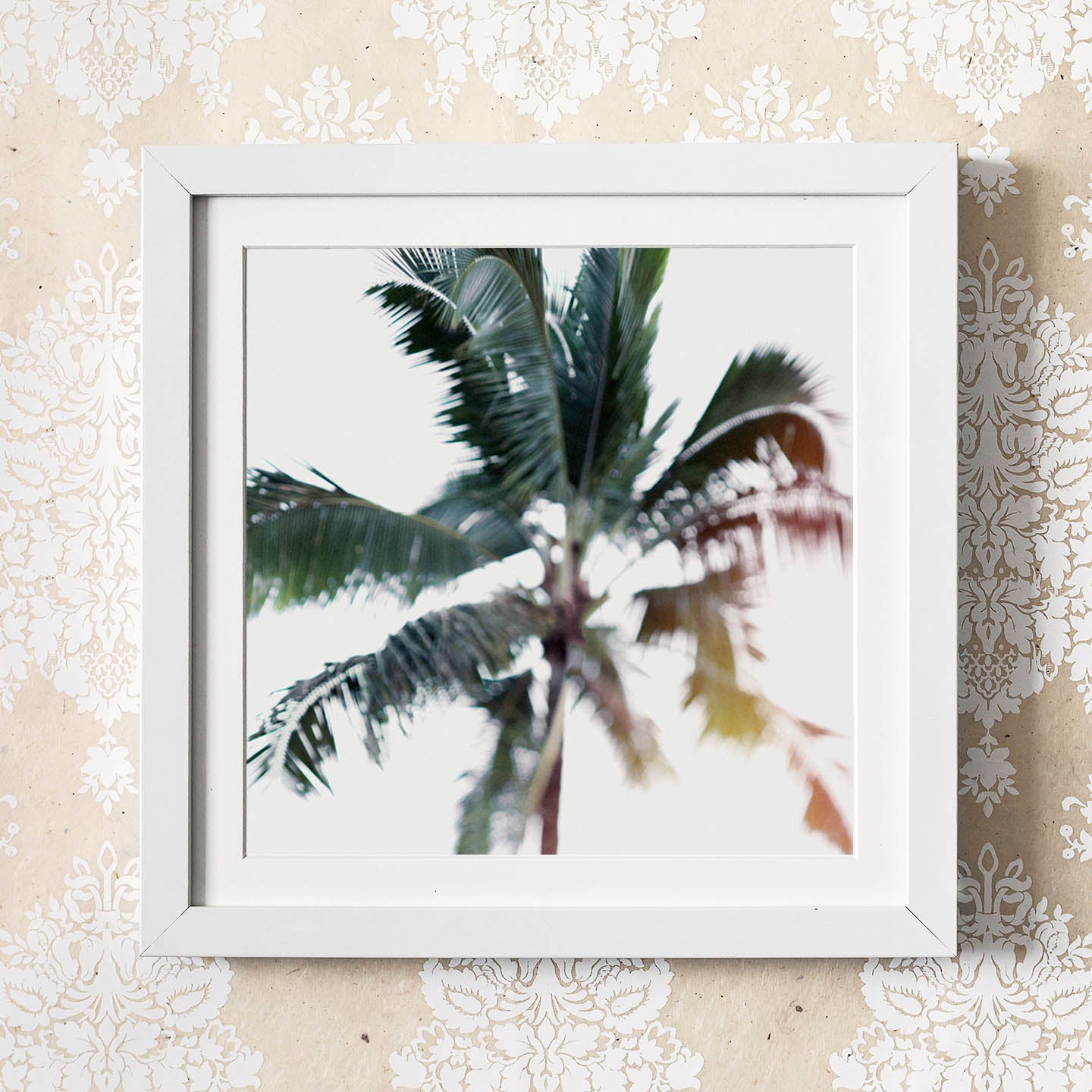 palm tree fine art photography