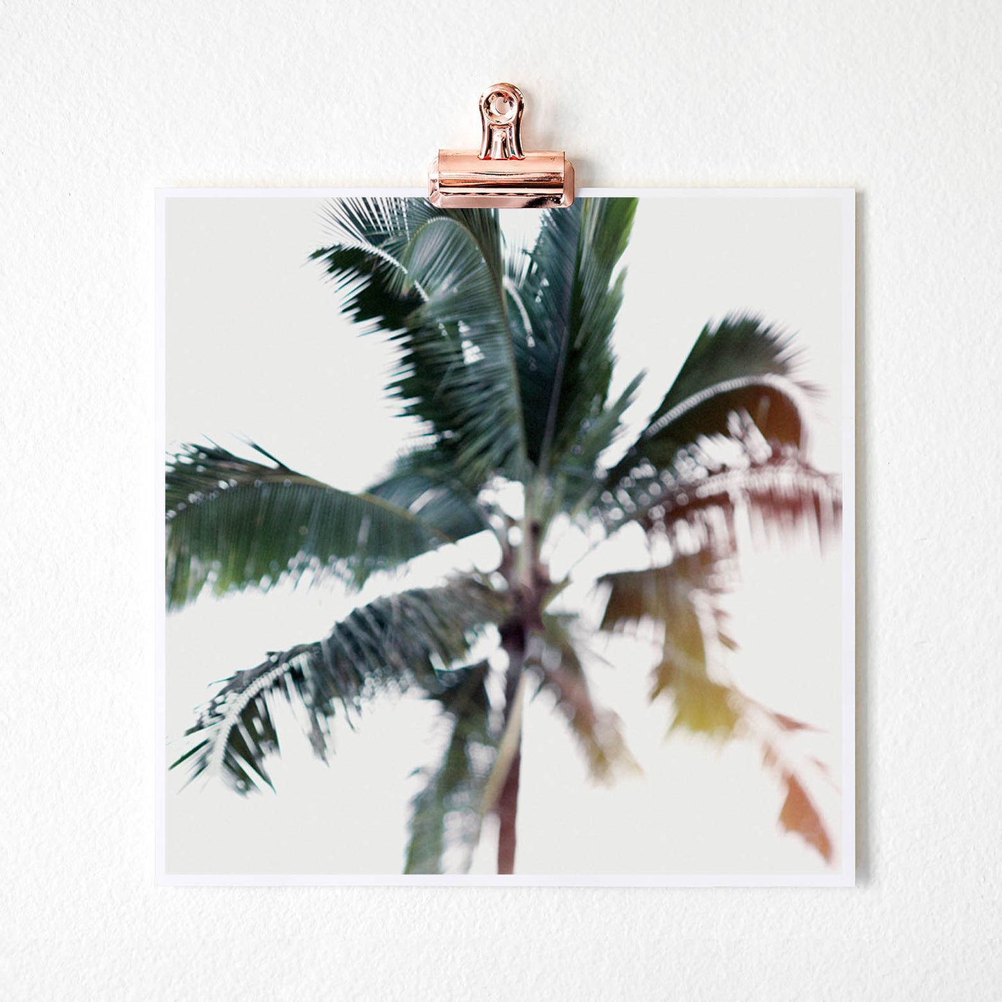 Load image into Gallery viewer, palm tree fine art photography
