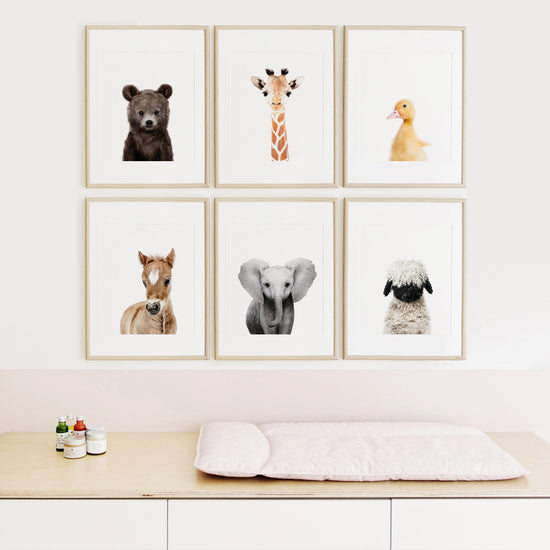 baby animal prints for nursery framed above the changing table 