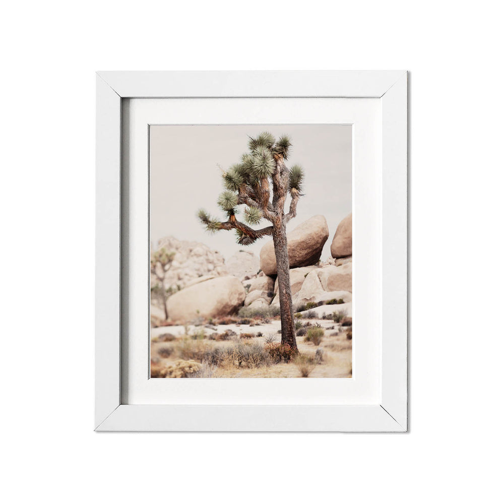 
                      
                        Joshua Tree Fine Art Photography
                      
                    