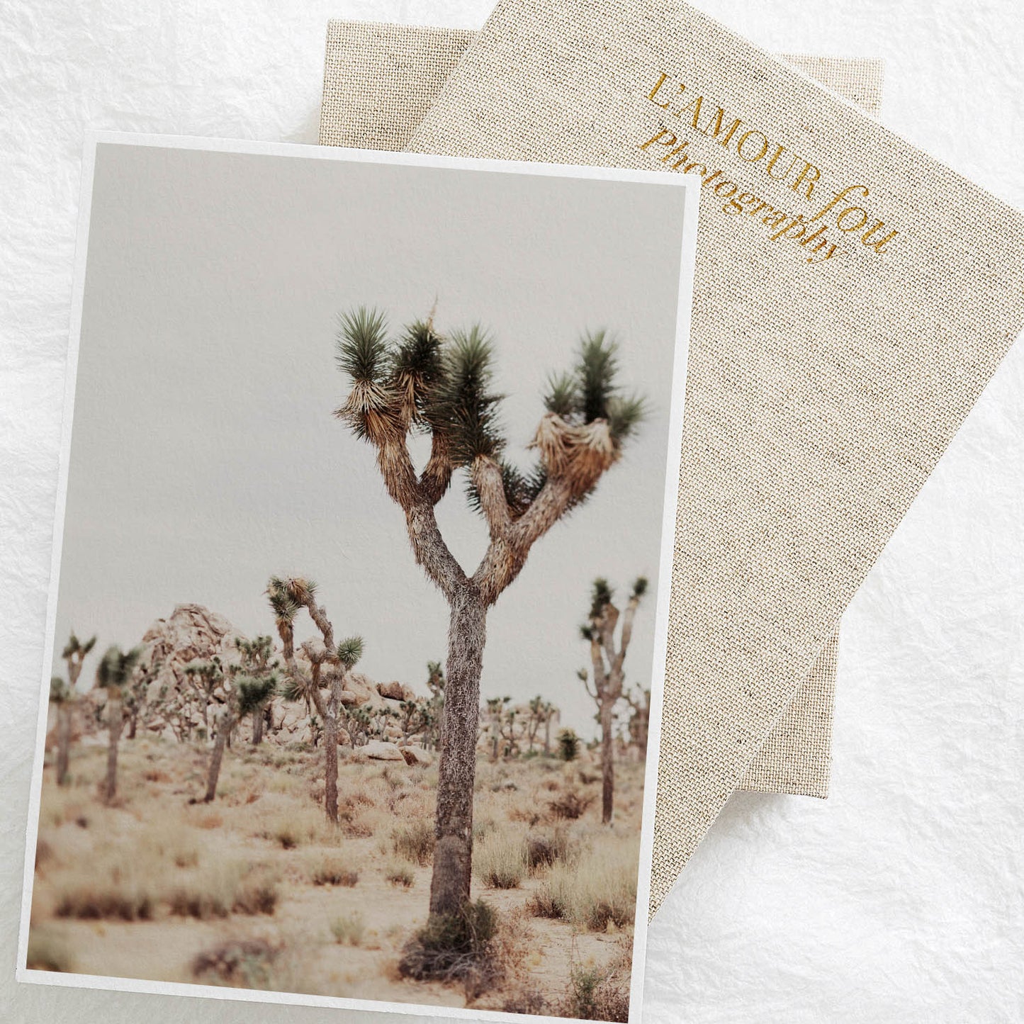 Joshua tree fine art photography