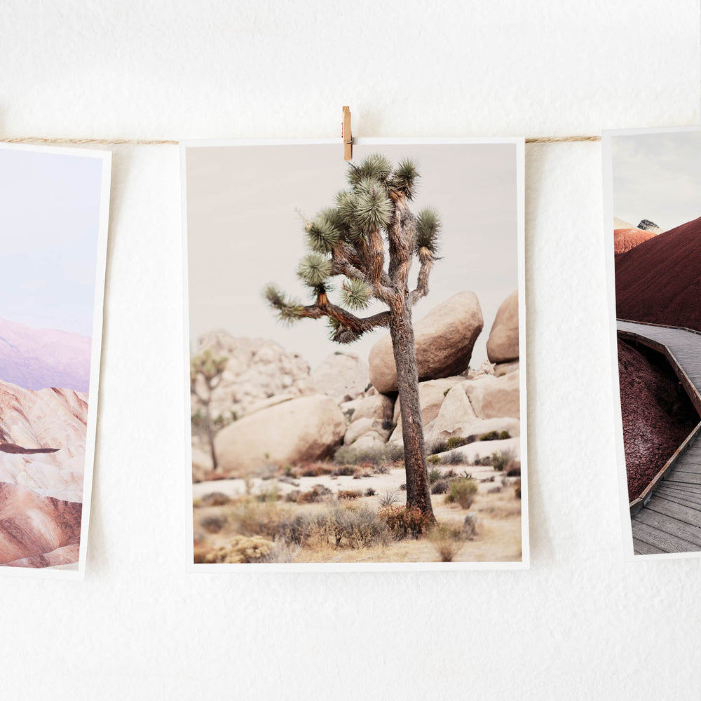 
                      
                        Joshua Tree Fine Art Photography
                      
                    