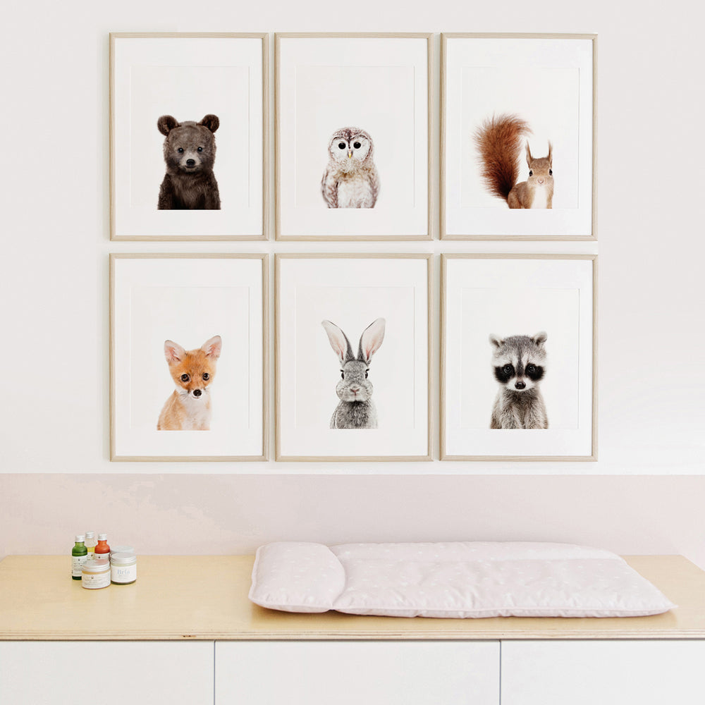 
                      
                        Woodland Animal Prints Set of 6
                      
                    